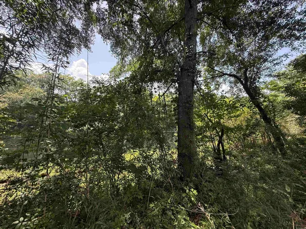 62 River Dr, Heber Springs, AR 72543