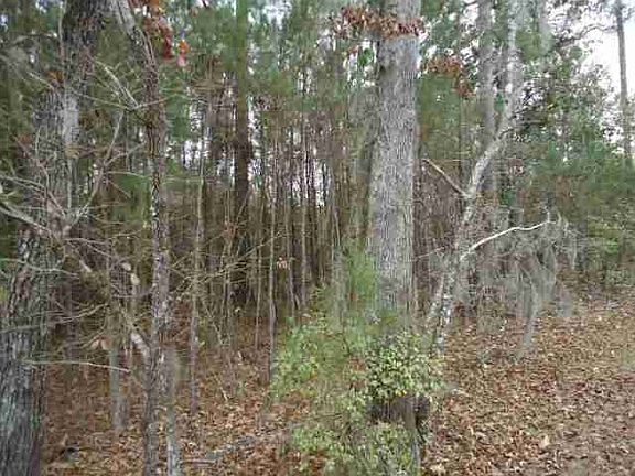 3rd image of Shoal Creek Dr