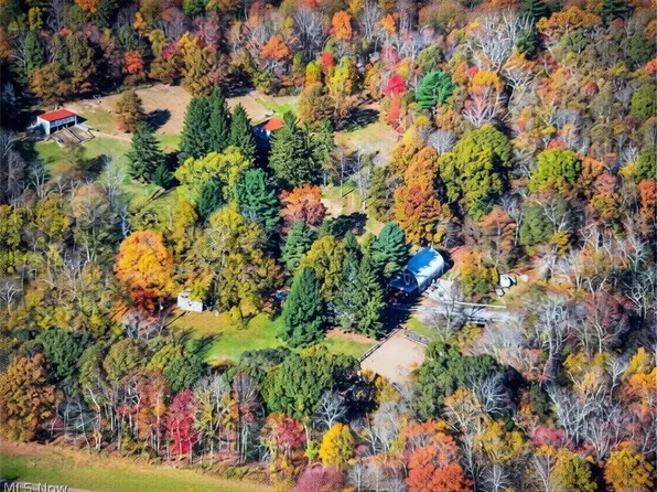 11811 Gaston Rd, Rogers, OH 44441