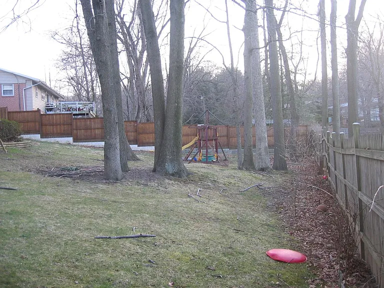 Fenced Backyard continued