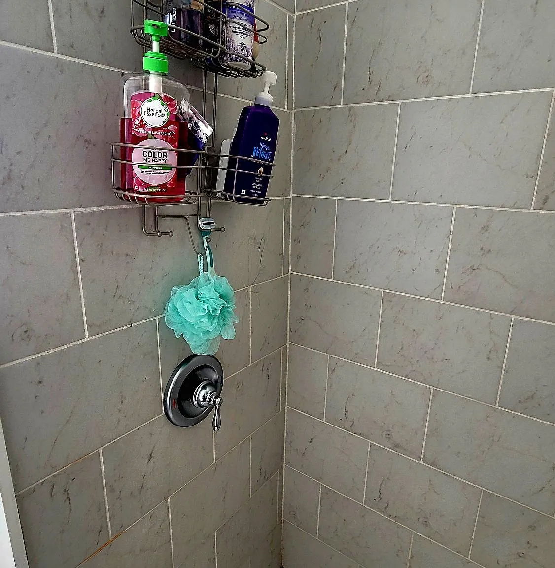 1 bed, 800 sqft, $995 — Photo 2