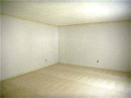 5th image of 5318 Havenwoods Dr