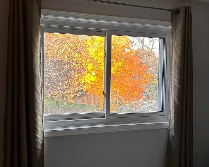 27 Gladiola Ct — Photo 21