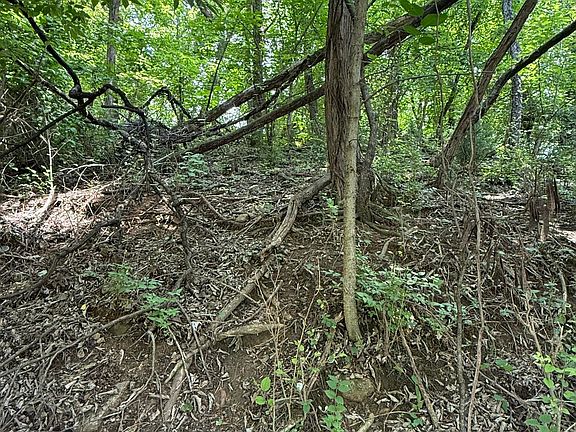 3rd image of 0 Chestnut St Lot 3