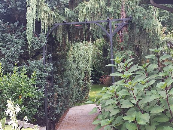 Lush Walkway to yard