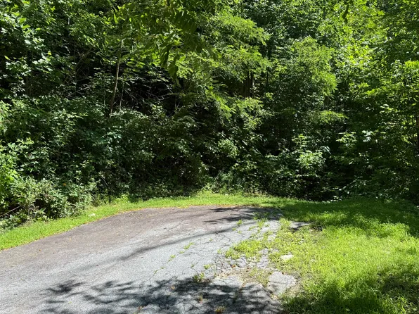 57 Mossy Cup Ct. Court, Tuckasegee, NC 28783