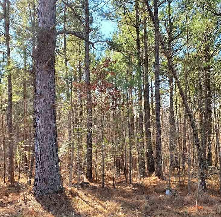 1st image of 0 W Unity Church Rd Lot 11
