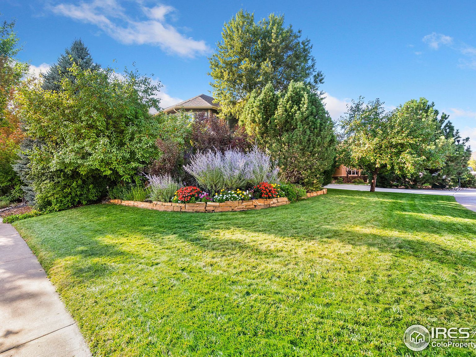 1418 Bison Ridge Ct, Windsor, CO 80550 Zillow