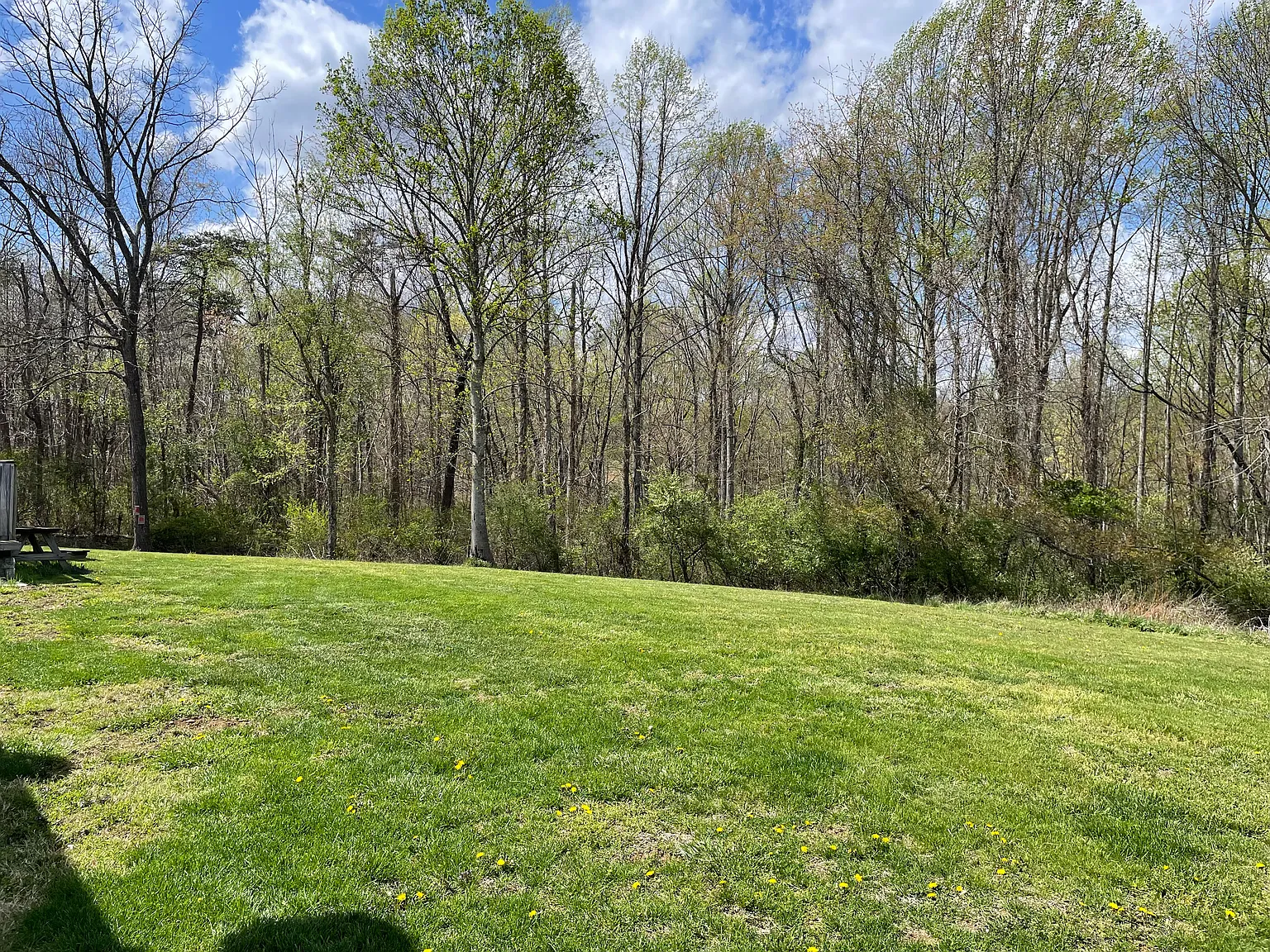 4 bed, 2052 sqft, $2,090 — Photo 4
