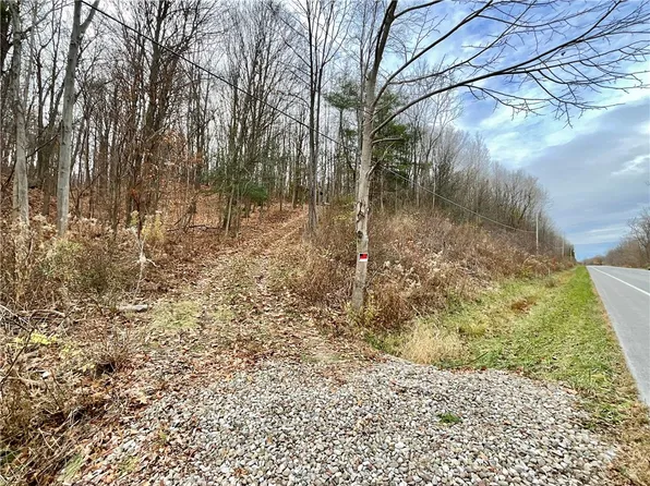 Dansville Mount Morris Rd #10, Dansville, NY 14437