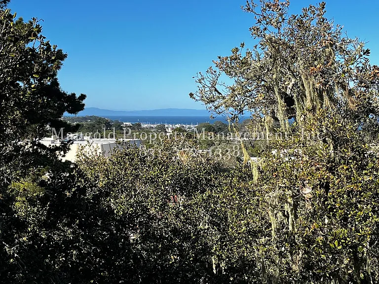 500 Glenwood Cir #130 — Photo 17