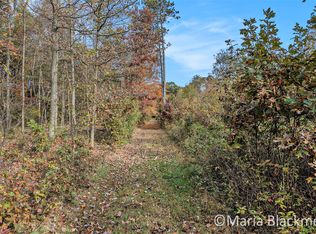 E Charles Rd, Ionia, MI 48846