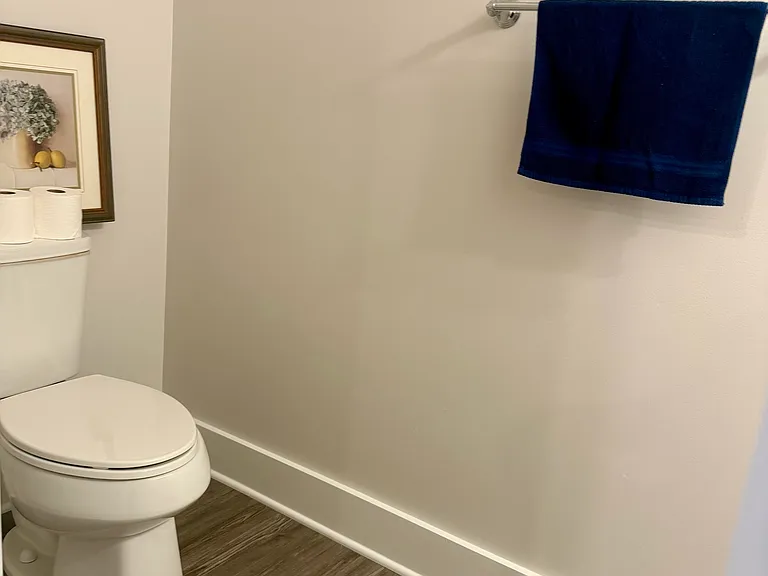 Downstairs bathroom