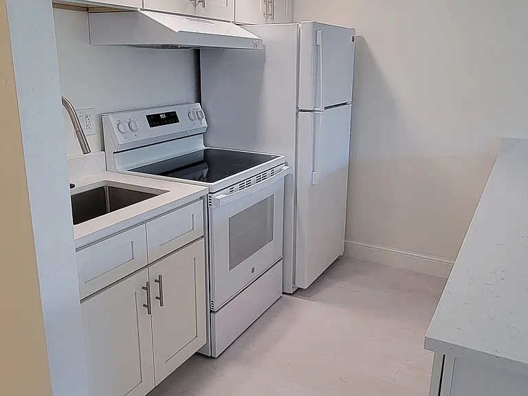 All-new appliances. Luxury vinyl plank (LVP) wood-type flooring gives it that beach-like Florida vibe.