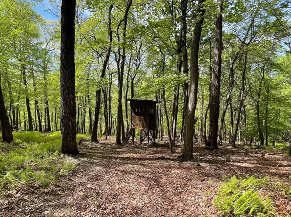 Russelldale Rd, Burlington, WV 26710