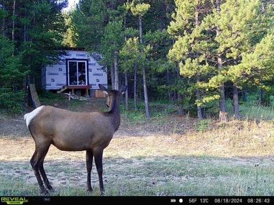 Ottawa Gulch Rd, Marysville, MT, 59640