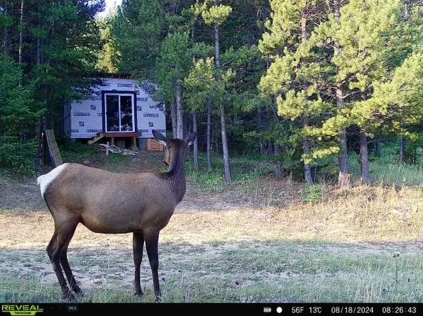 Ottawa Gulch Rd, Marysville, MT 59640