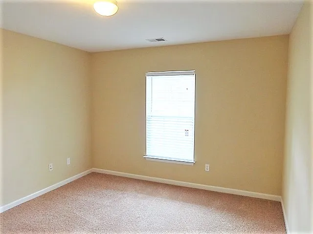 36 Shadow Moss Dr — Photo 13