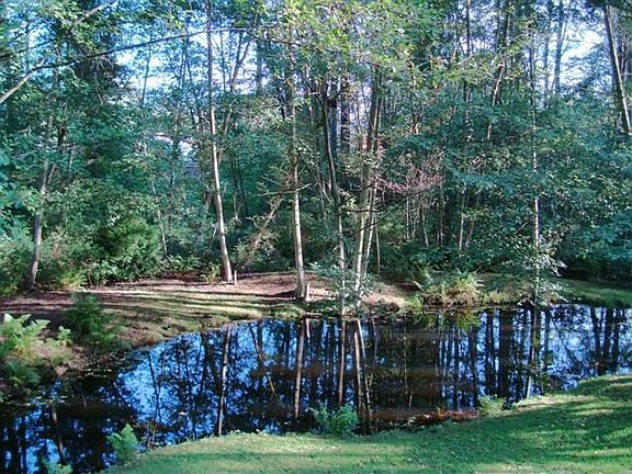 Natural Pond Year-round