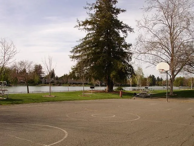 Basketball court