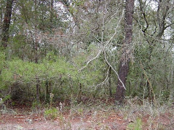 2nd image of 116 Nevada Dr