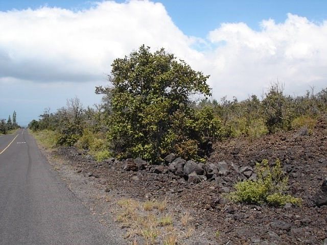 1st image of Sea Breeze Pkwy Lot 32