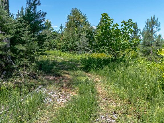 4th image of 0 Goggin Ford Rd Lot 4
