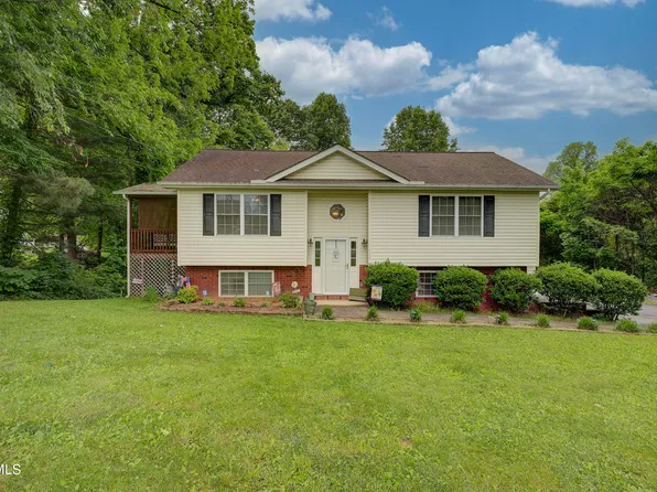 111 Poplar Hill Ext, Johnson City, TN 37604