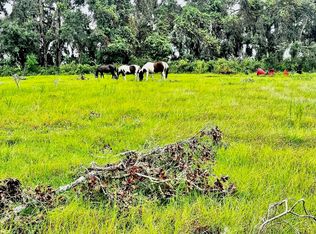 Vacant Sw Cr 360, Madison, FL 32340