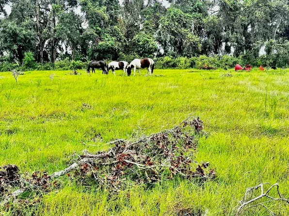 Vacant Sw Cr 360, Madison, FL 32340