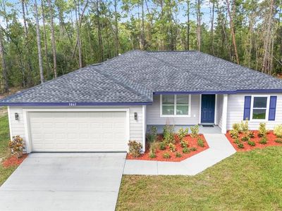 119 NW REDWOOD DRIVE, Dunnellon, FL, 34431