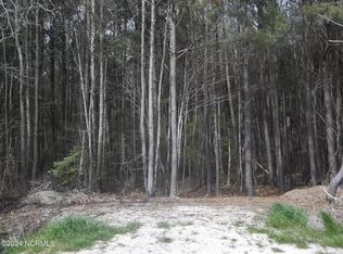 Griffin Swamp Rd, Elizabeth city, NC 27909
