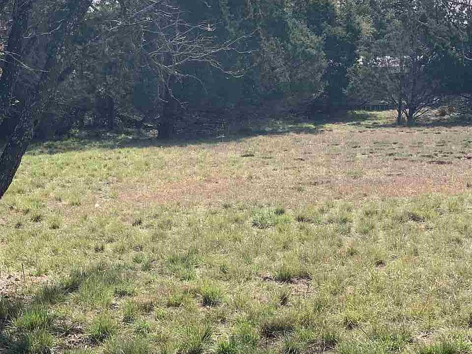 2nd image of Stag