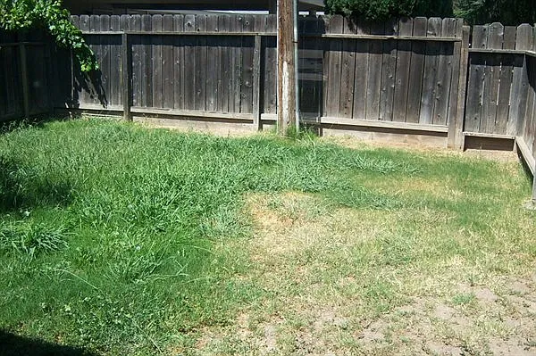 2 bed, 1.0 bath, 720 sqft, $1,595 — Photo 4