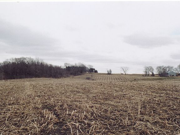 5th image of Xxx Pine Avenue