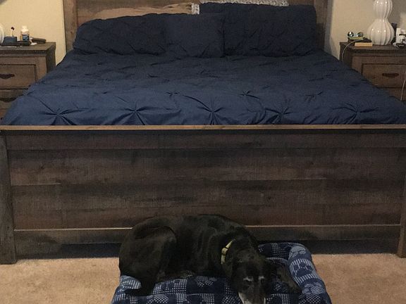 2nd image of 102 Sonshine Ln