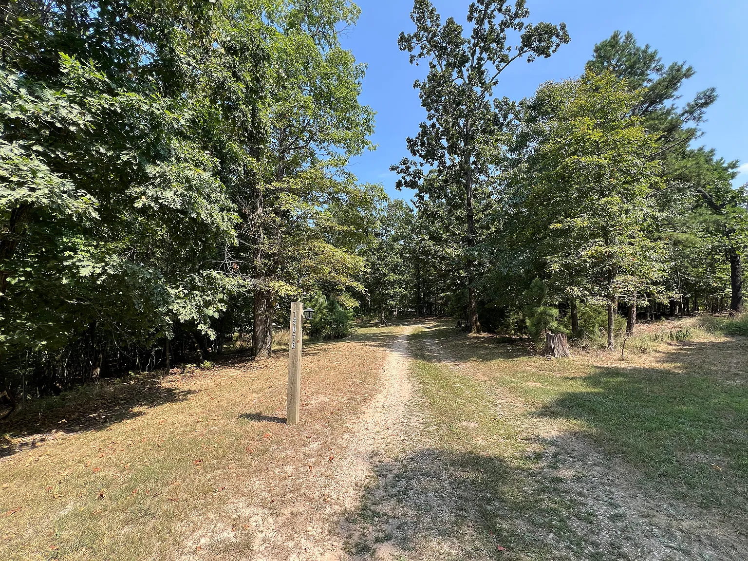4 bed, 2500 sqft, $2,970 — Photo 3