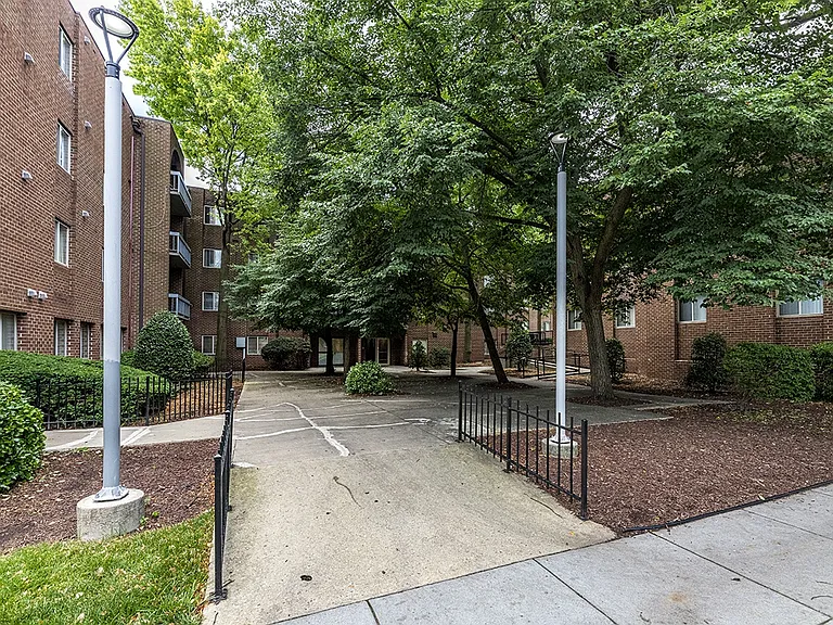 Wooded Community Courtyards