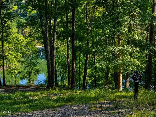 2321 Turkey Ridge Ln, Piney Flats, TN 37686