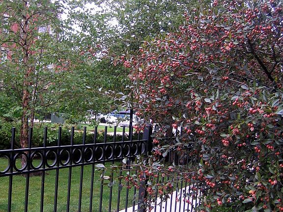 View from front door.