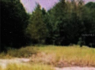 11790 SE Highway 464, Ocklawaha, FL 32179