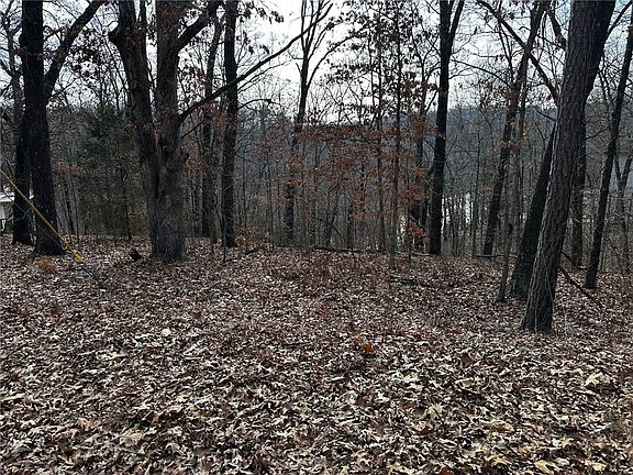 5th image of 15 Bosworth Cir
