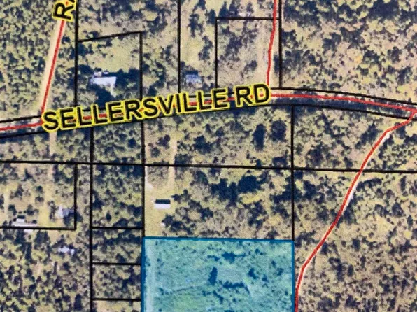 9165 Sellersville Rd, Jay, FL 32565