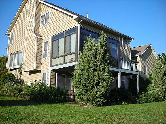 Back View
