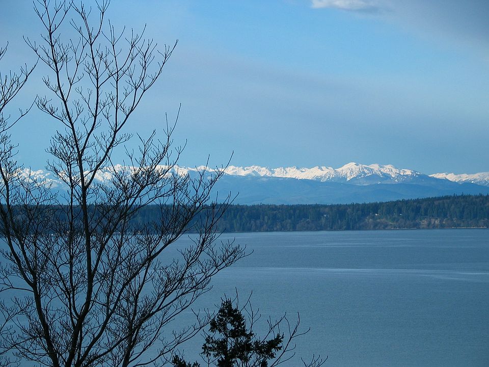 Olympic Mountain View