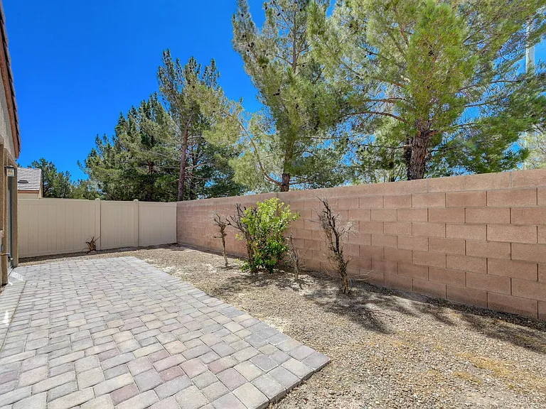 527 Braided River Ave — Photo 45