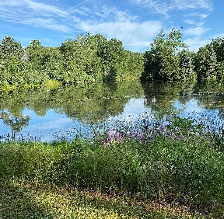 2nd image of 0 Riverbend Dr