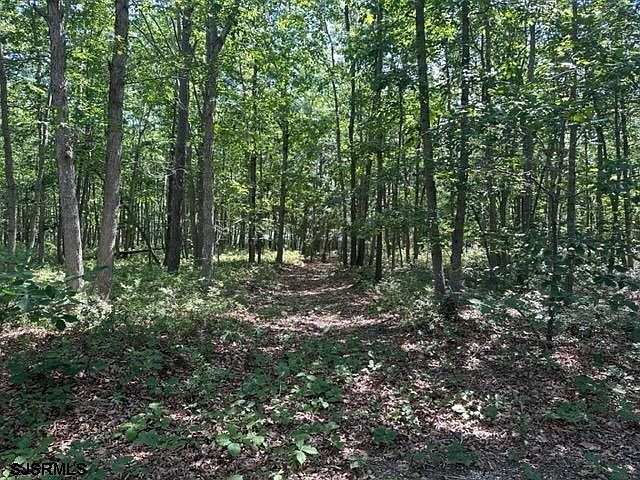 2nd image of 126 New York Rd