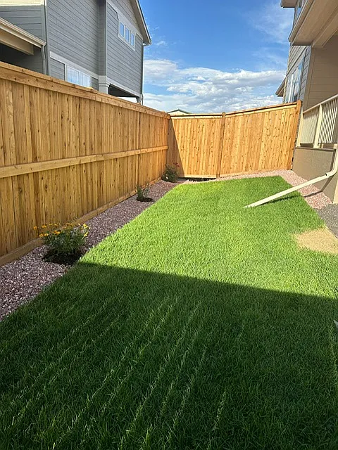 3 bed, 2.5 bath, 1850 sqft, $3,100 — Photo 3