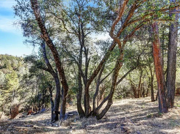 16428 Patricia Way, Grass Valley, CA 95949